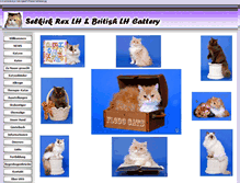 Tablet Screenshot of flodo-pets.at